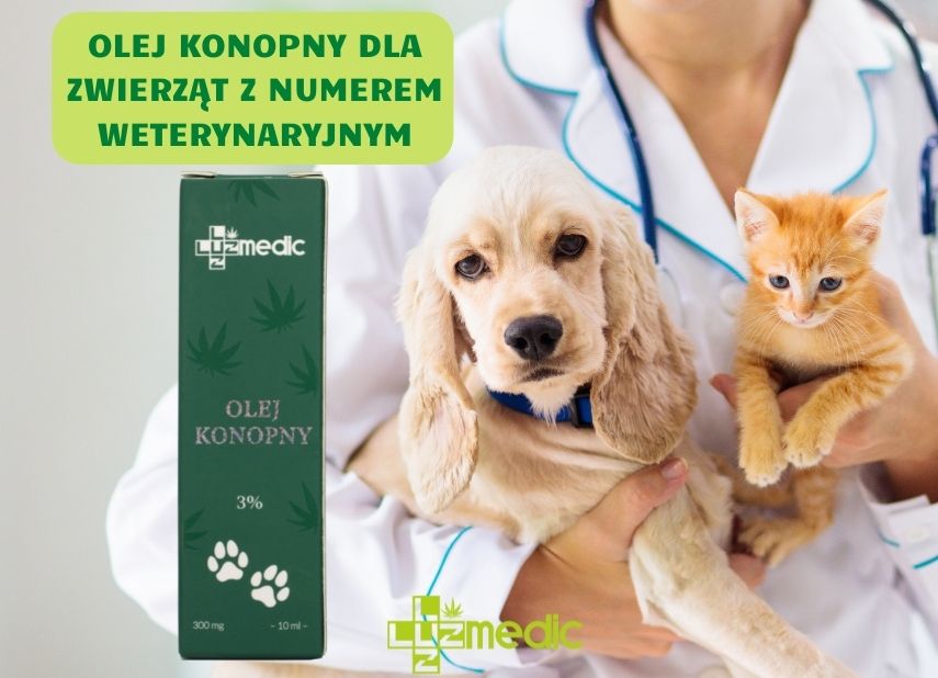 olej cbd dla zwierząt domowych z numerem weterynaryjnym