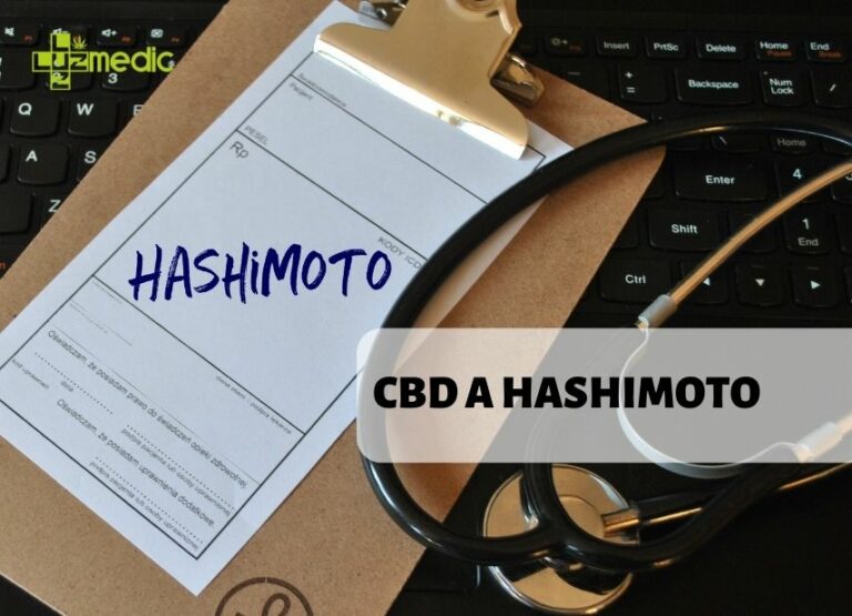 Hashimoto a CBD
